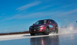 爆料比亚迪新闻事件